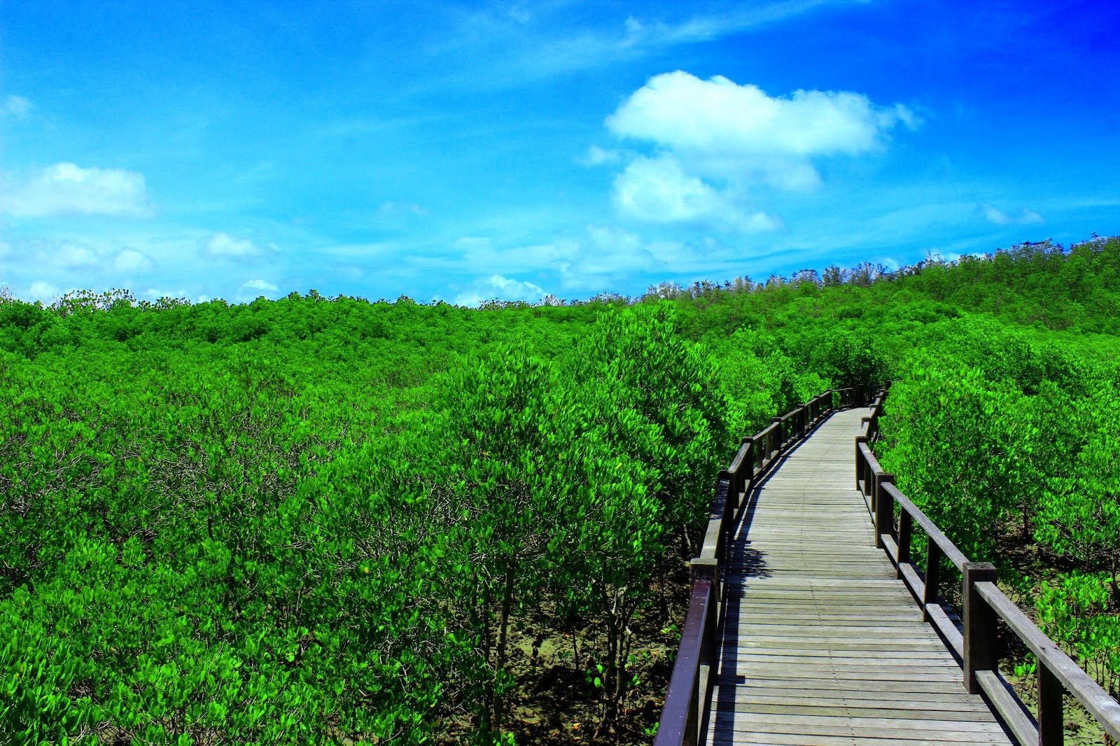 Pran Buri Forest Park